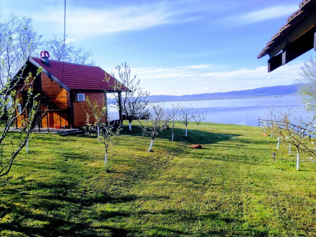 Carobni Breg Villa Golubăţ Exterior foto