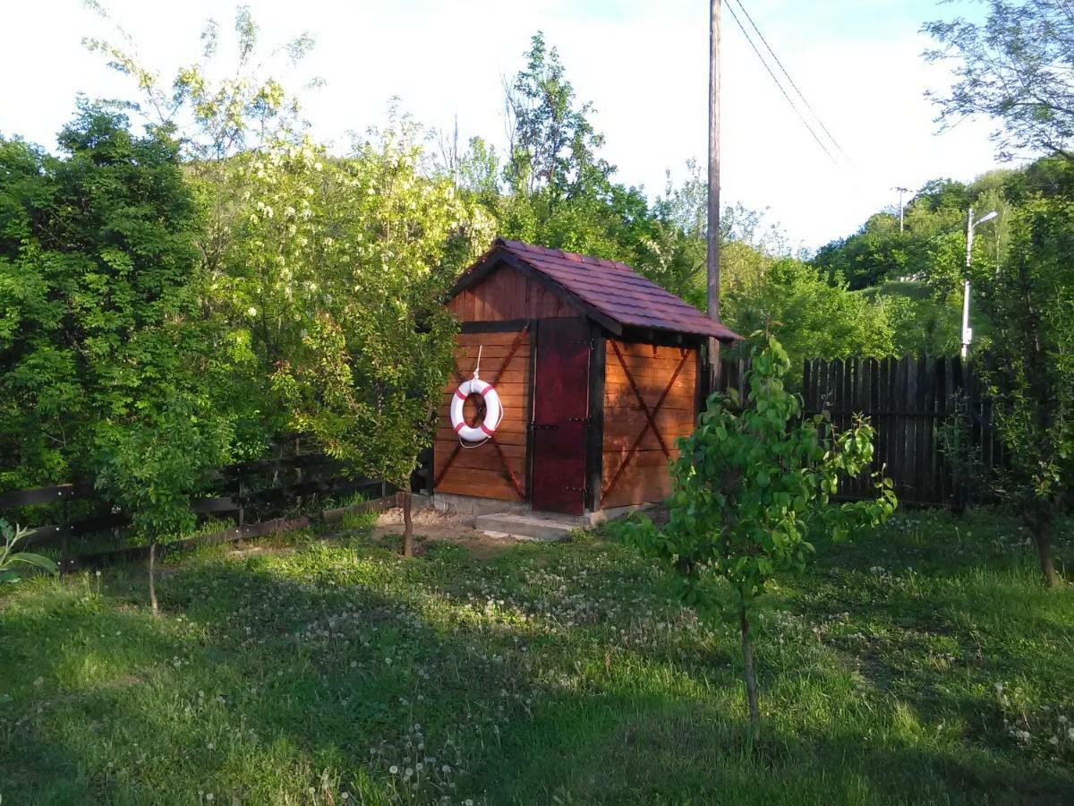 Carobni Breg Villa Golubăţ Exterior foto