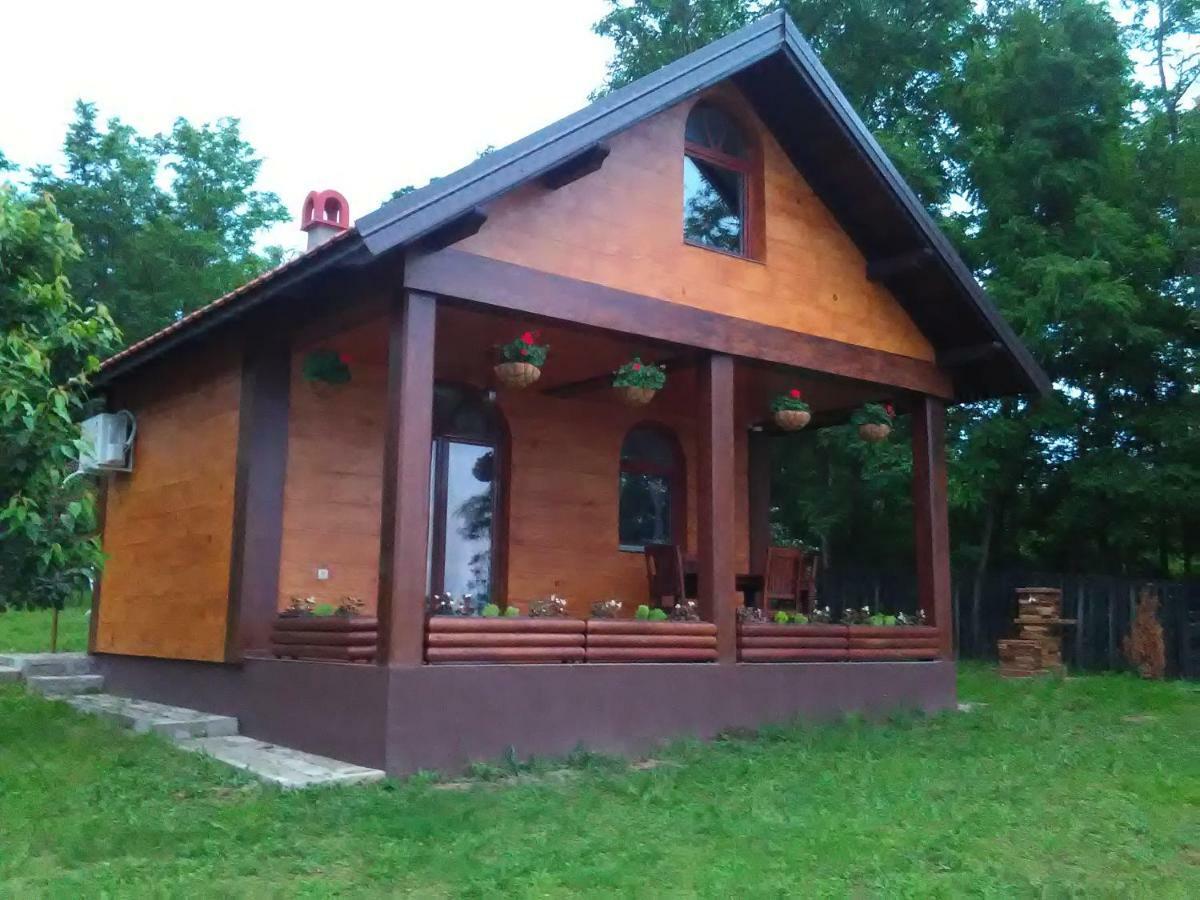Carobni Breg Villa Golubăţ Exterior foto