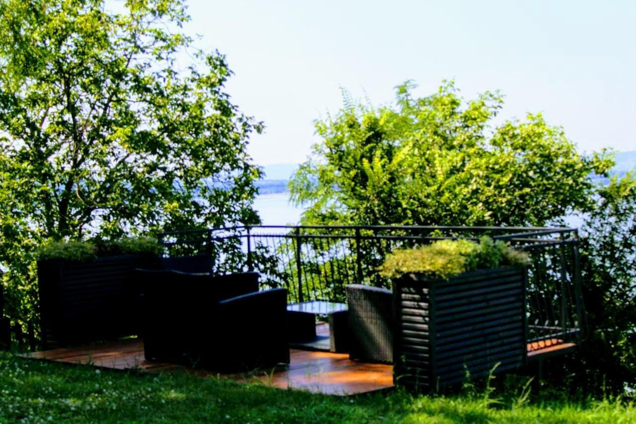 Carobni Breg Villa Golubăţ Exterior foto
