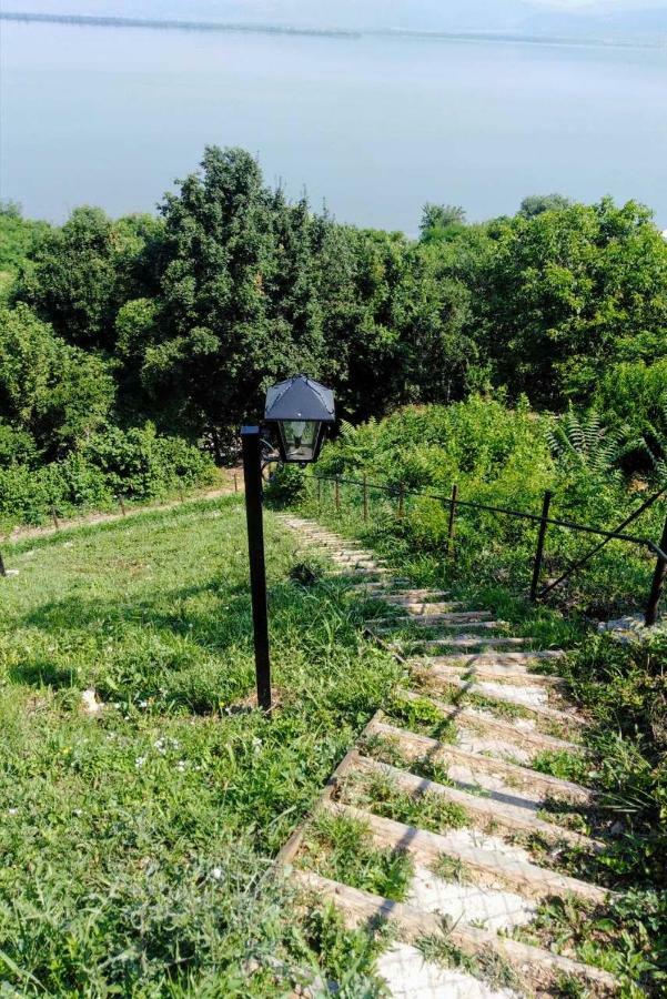Carobni Breg Villa Golubăţ Exterior foto