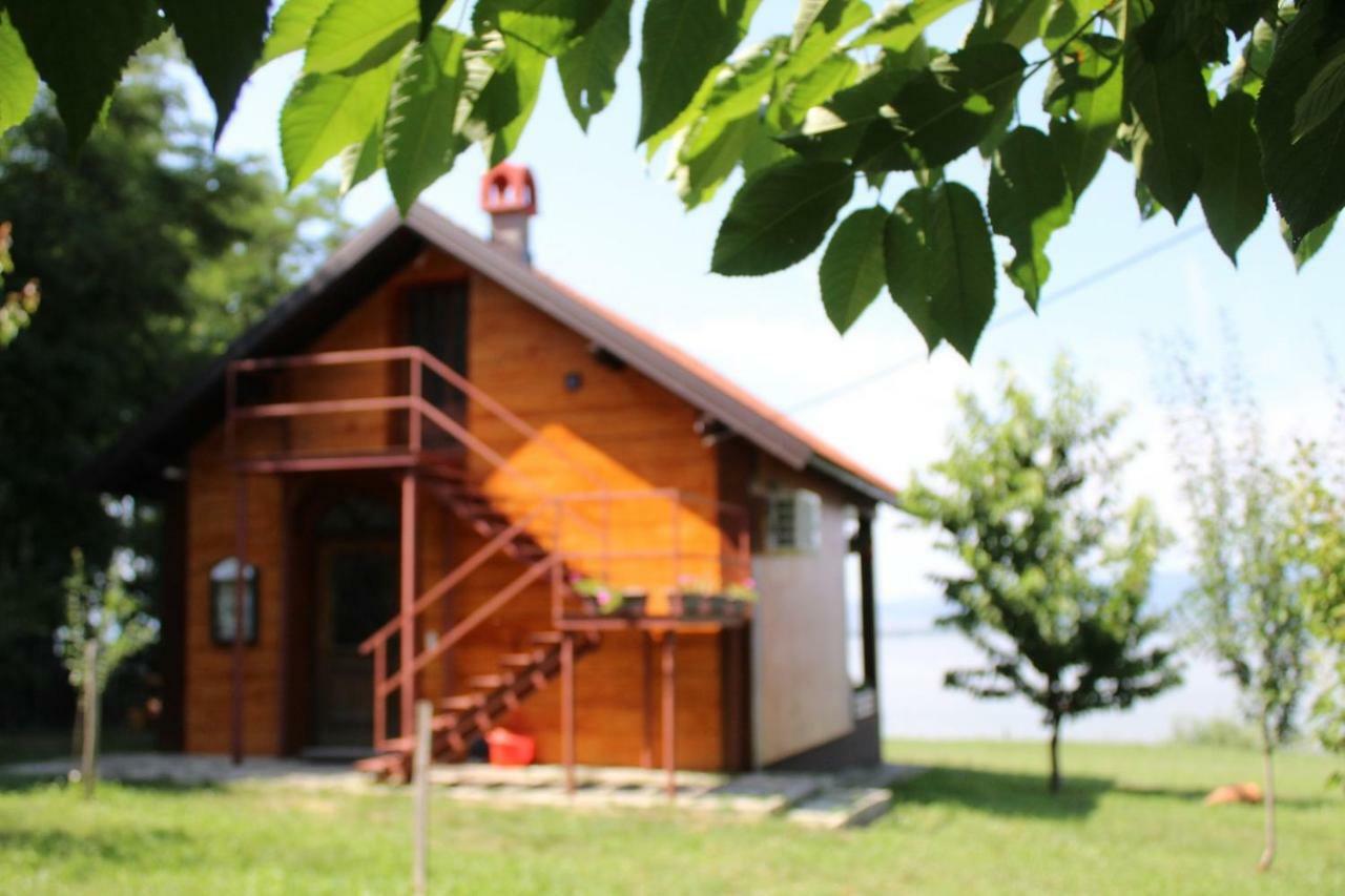 Carobni Breg Villa Golubăţ Exterior foto