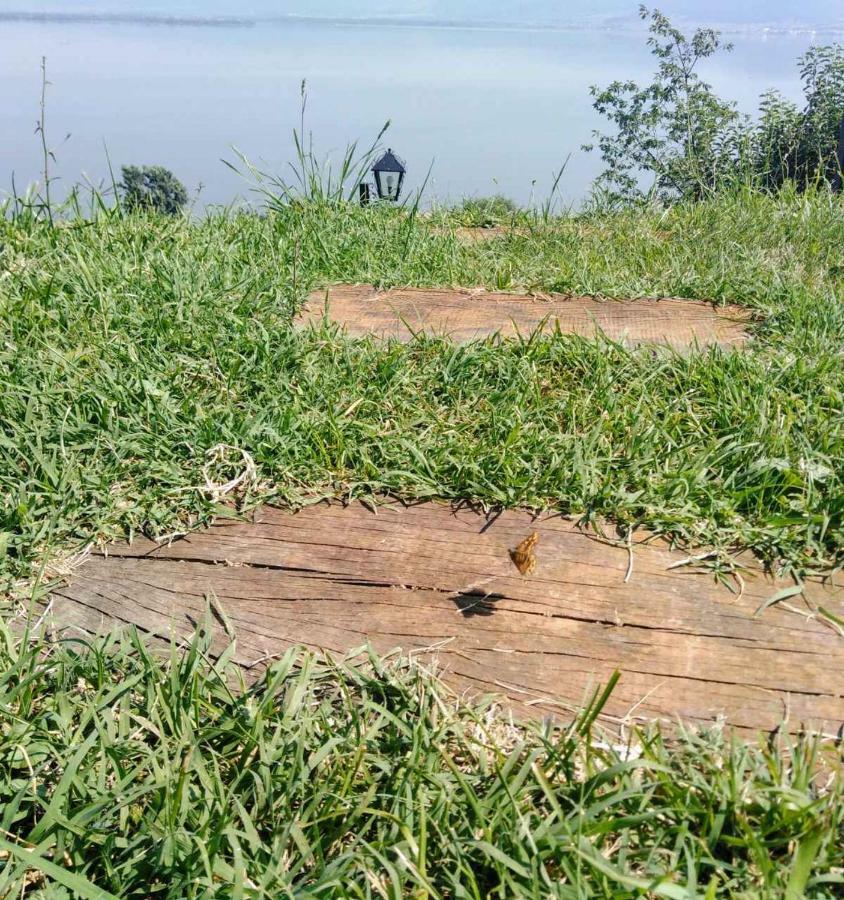 Carobni Breg Villa Golubăţ Exterior foto